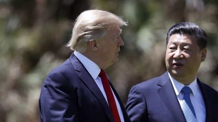 Doc-P-544823-638968481984647473