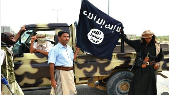 تنظيم القاعدة